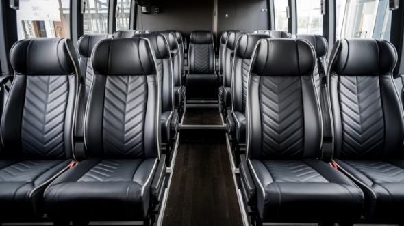 18 passenger minibus rental sammamish
